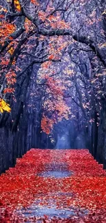 Red leaf-covered forest path in autumn.