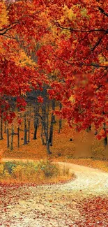 Autumn forest path with vibrant red and orange leaves.