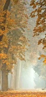 Misty forest path with orange autumn leaves and towering trees.