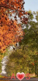 Scenic autumn path with vibrant orange trees.