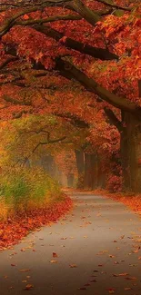 Autumn pathway with vibrant leaves on trees and ground.