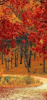 Scenic autumn path with vibrant foliage in a forest setting.