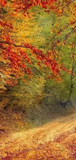 Beautiful autumn forest path with golden leaves.