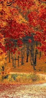 A vibrant autumn forest path with colorful red and orange foliage.