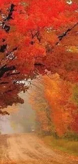 Vibrant autumn path with red and orange leaves overhanging a scenic path.