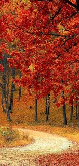 Vibrant red autumn leaves overhang a winding forest path.