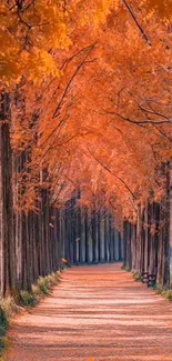 Beautiful path lined with trees and vibrant orange autumn leaves.