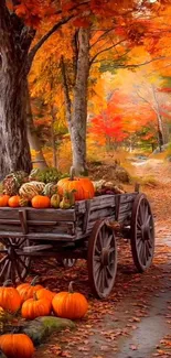 Autumn path with pumpkins and fall foliage.