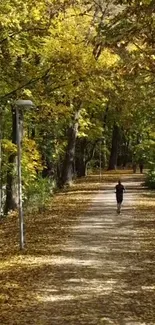 Person walking on an autumn leaf-covered path through a forest.