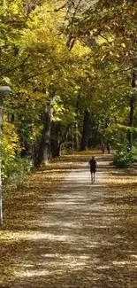 Serene autumn forest pathway with yellow leaves covering the trail.