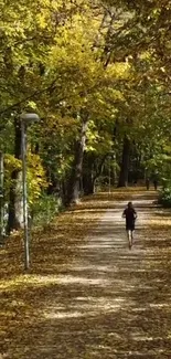 A lone runner on a leaf-covered autumn forest path with golden trees.