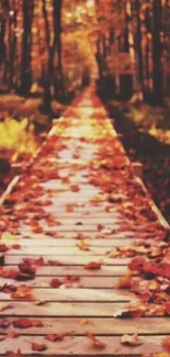 Wooden path with autumn leaves in a forest, radiating warm tones.