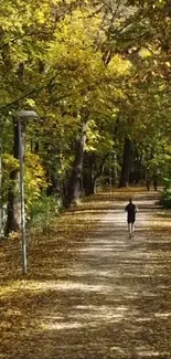 Serene autumn forest path with golden leaves.