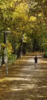 Serene autumn pathway with vibrant fall leaves on a forest trail.