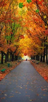 Vibrant autumn pathway with colorful trees in fall.