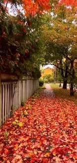 Vibrant autumn pathway with fallen leaves and trees.