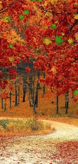 Scenic autumn path with vibrant red and orange leaves in a serene forest setting.