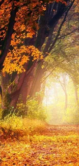 Autumn pathway with vibrant trees and leaves in a serene forest setting.