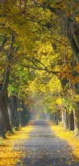A peaceful autumn pathway lined with vibrant golden tree foliage.