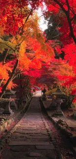 Vibrant autumn pathway with red and gold leaves creating a serene scene.