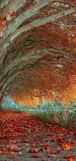 Serene autumn pathway through an arch of vibrant trees.