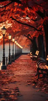 Autumn pathway with glowing lanterns and vibrant foliage.