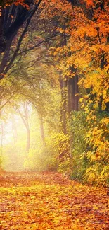 Vibrant autumn forest pathway lined with colorful leaves.