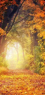 Stunning autumn forest path with vibrant foliage.