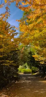 Serene autumn pathway with vibrant yellow and orange leaves under a clear blue sky.