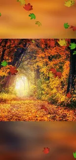 Vibrant autumn forest pathway with falling leaves and glowing sunlight.