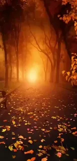 Orange autumn forest path with falling leaves.