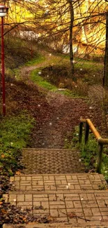 Peaceful autumn forest pathway with yellow foliage.