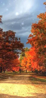 Autumn trees lining a scenic pathway under clear blue skies.