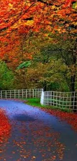 Serene autumn path with red-orange leaves and a white fence.