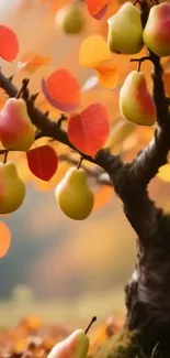 Autumn scene with a pear tree and vibrant leaves on a mobile wallpaper.