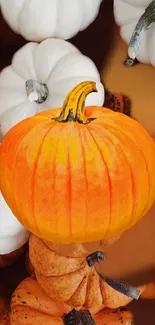 Vibrant orange pumpkin surrounded by white pumpkins, capturing a harvest theme.