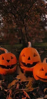 Three glowing pumpkins in an autumn landscape with fallen leaves.