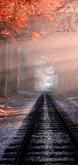 Autumn railway path with burnt orange leaves