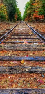 Autumn railway path with fall foliage