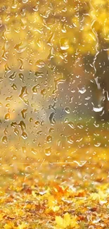 Yellow autumn leaves with raindrops in serene mobile wallpaper.