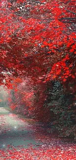 Red forest path with vibrant leaves creating an autumn tunnel effect.