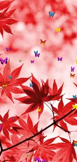 Red maple leaves with colorful butterflies on a vibrant autumn-themed wallpaper.