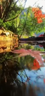 Autumn leaves reflecting on a tranquil stream.