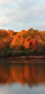 Autumn forest with vibrant foliage reflecting on a tranquil lake.