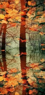 Autumn leaves reflecting on forest water create a stunning nature background.