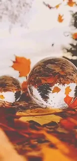 Autumn leaves with reflective glass spheres on the ground.