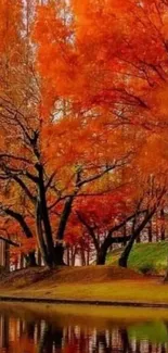 Stunning autumn scene with orange trees and a reflective lake.