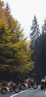 Motorbikes on an autumn road in a vibrant forest background.