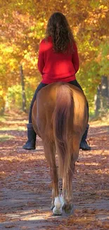 Autumn horse ride through a serene, golden-leafed forest path.