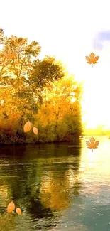 Golden autumn river with falling leaves.